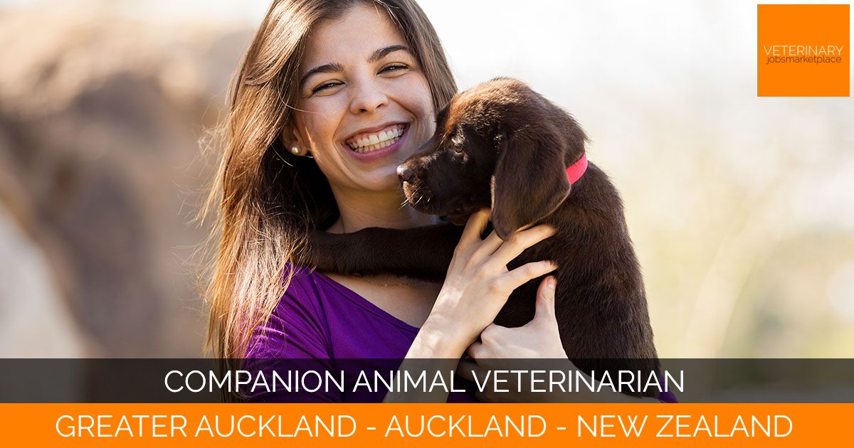 Companion Animal Veterinarian
