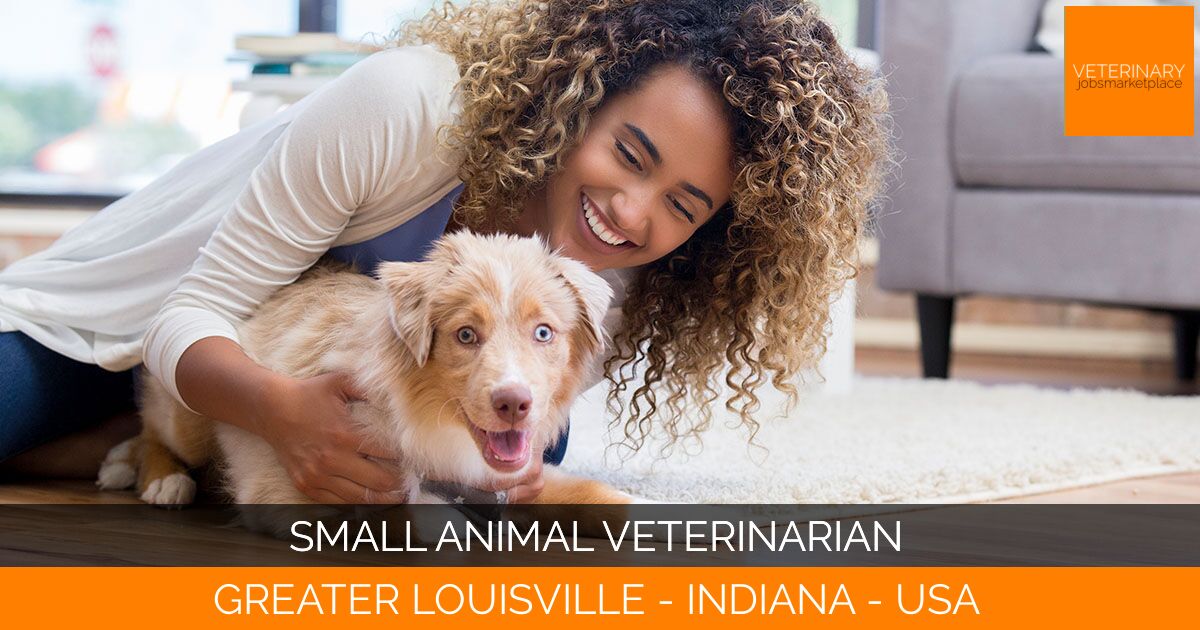 Small Animal Veterinarian