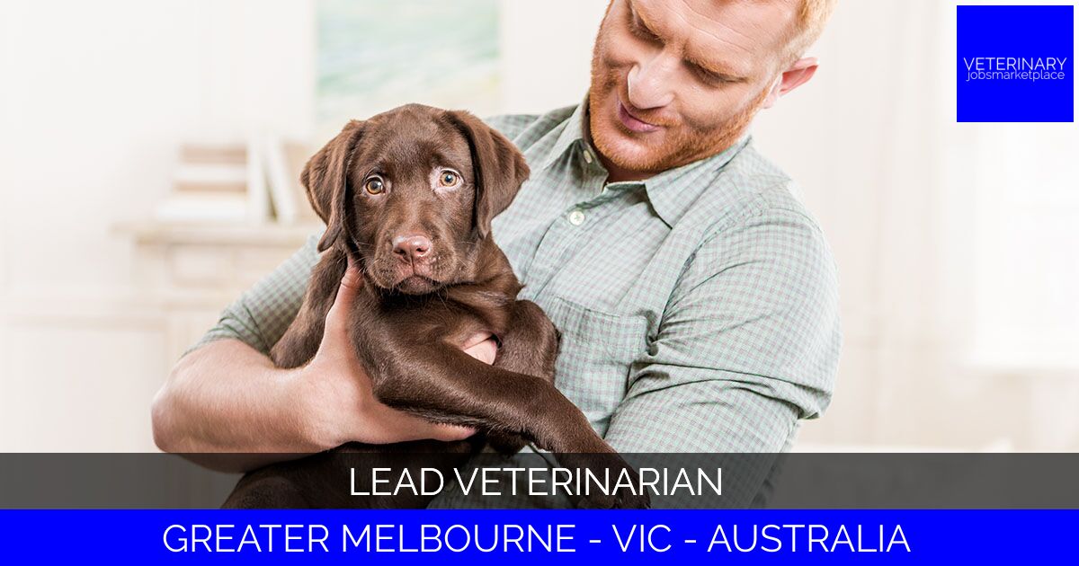 Lead Veterinarian