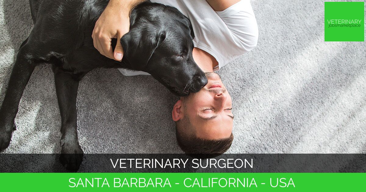 Veterinary Surgeon