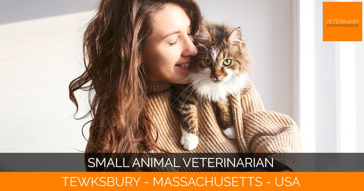 Small Animal Veterinarian
