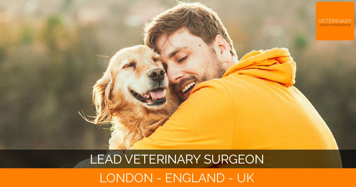 Lead Veterinary Surgeon