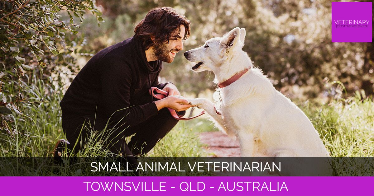 Small Animal Veterinarian