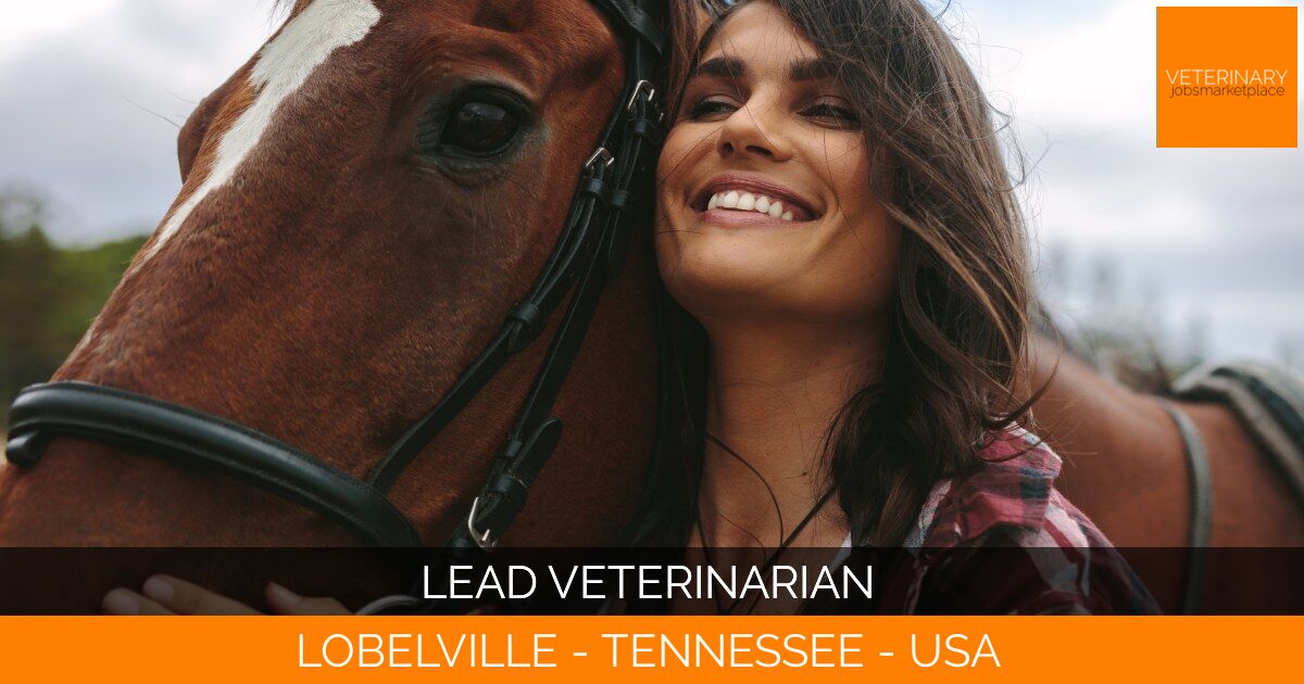 Lead Veterinarian