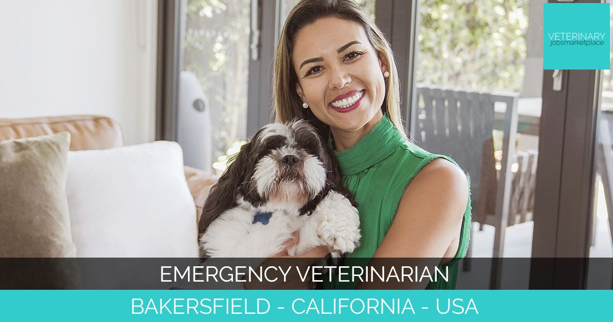 Emergency Veterinarian