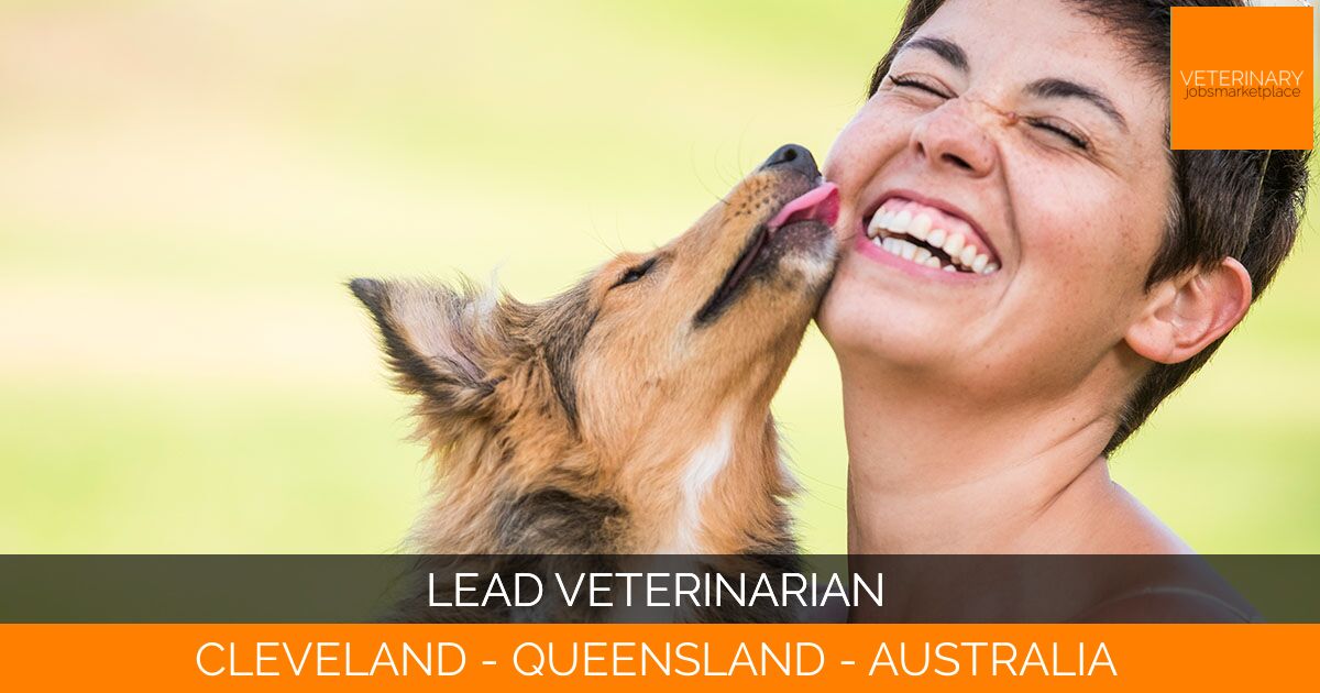 Lead Veterinarian