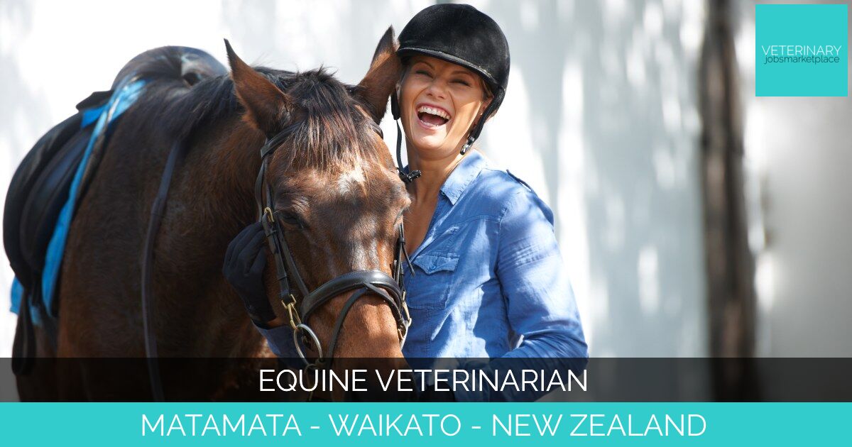 Equine Veterinarian