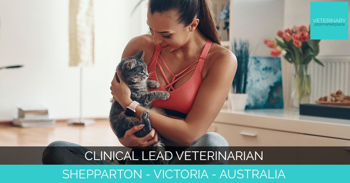 Clinical Lead Veterinarian