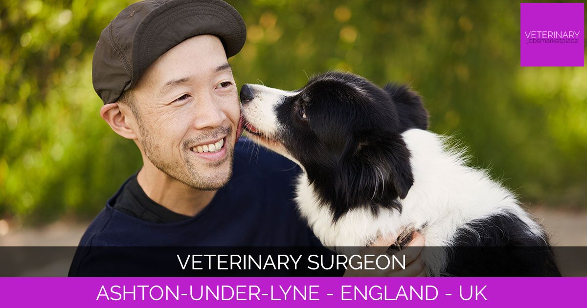 Veterinary Surgeon