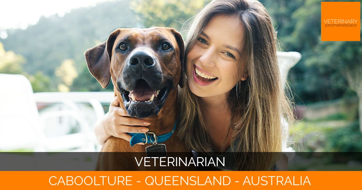 Veterinarian
