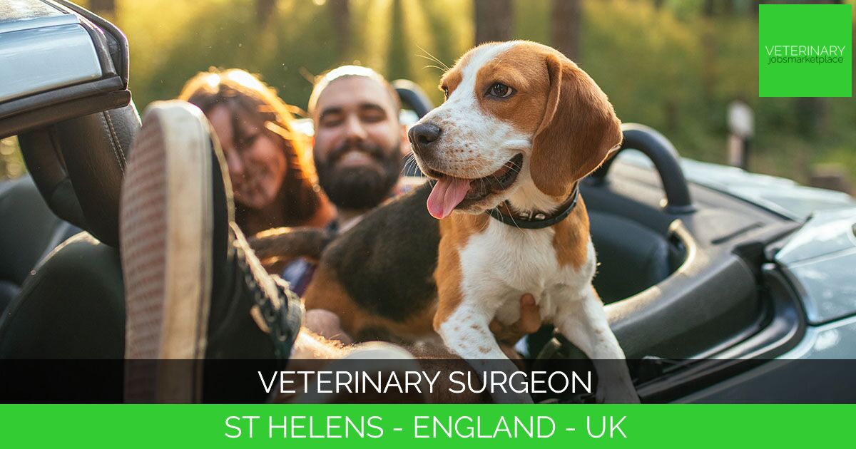 Veterinary Surgeon