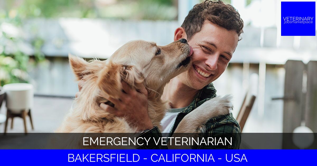 Emergency Veterinarian