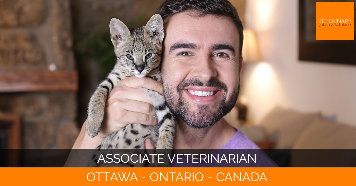 Associate Veterinarian