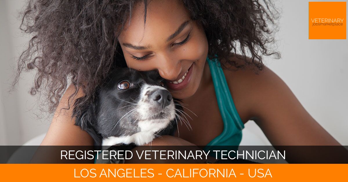 Registered Veterinary Technician