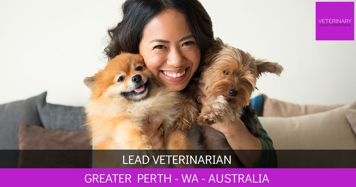 Lead Veterinarian