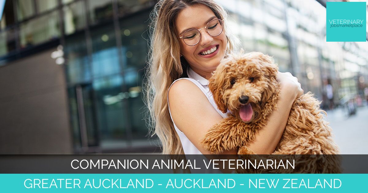 Companion Animal Veterinarian