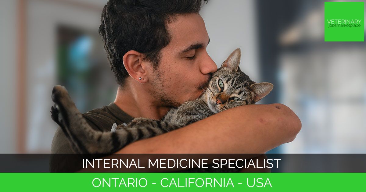 Internal Medicine Specialist