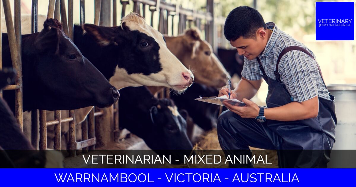 Veterinarian - Mixed Animal
