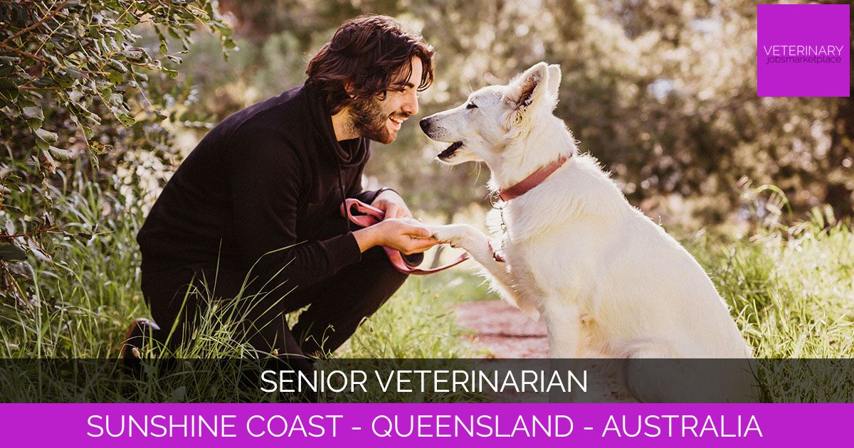 Senior Veterinarian