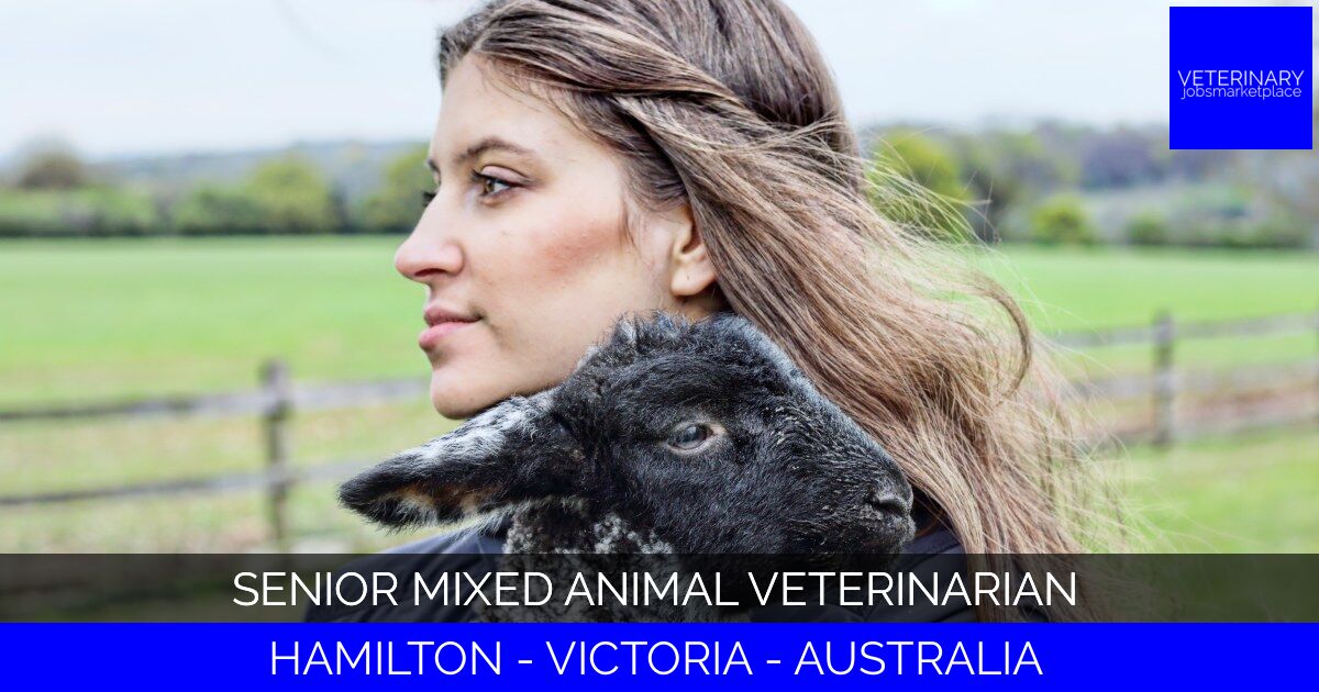 Senior Mixed Animal Veterinarian
