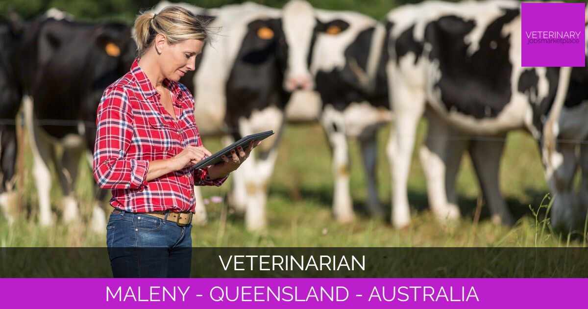 Veterinarian