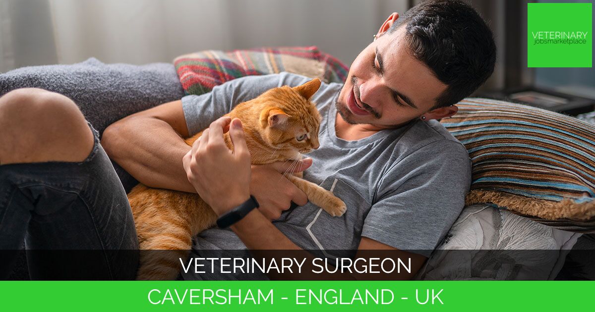 Veterinary Surgeon