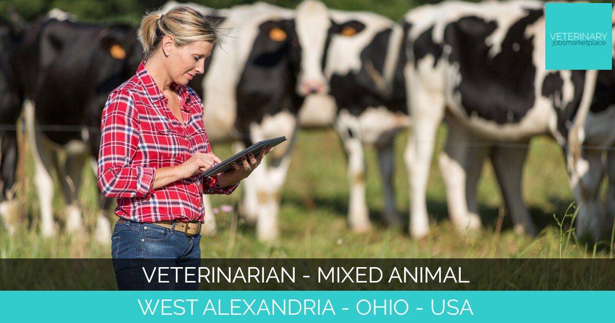 Veterinarian - Mixed Animal