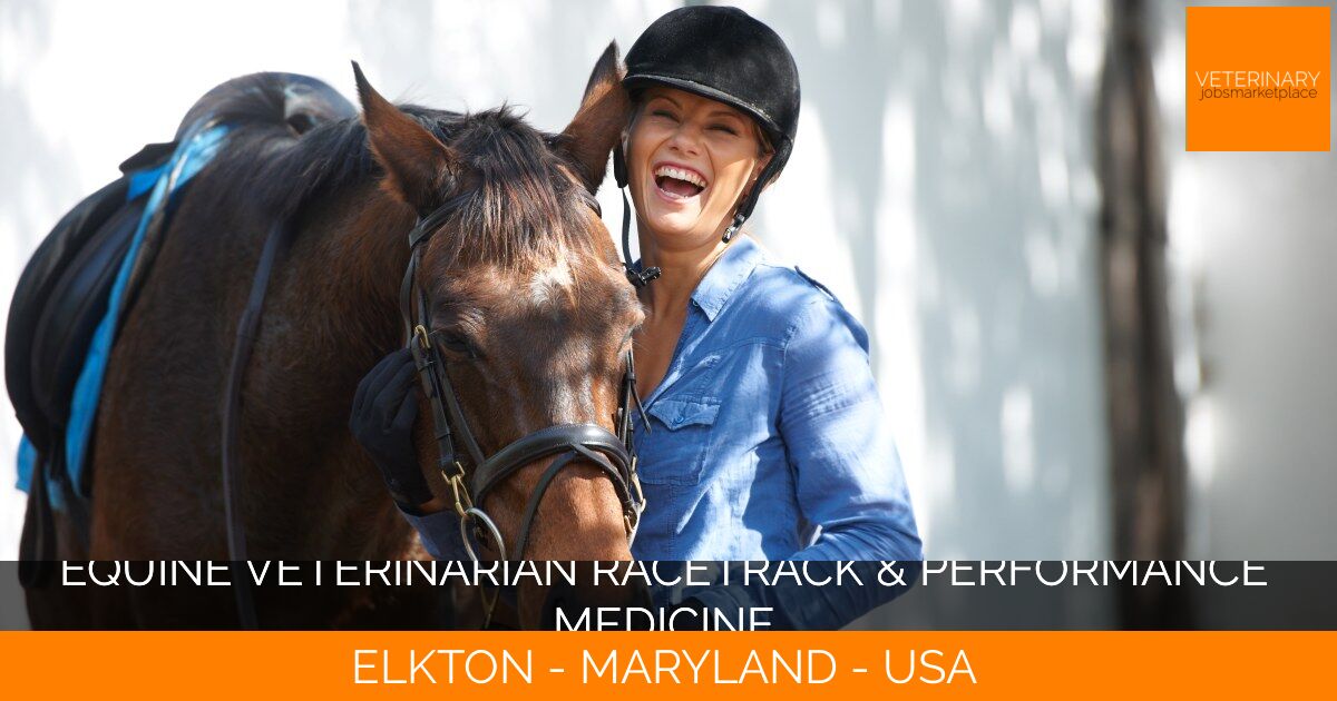 Equine Veterinarian Racetrack & Performance Medicine