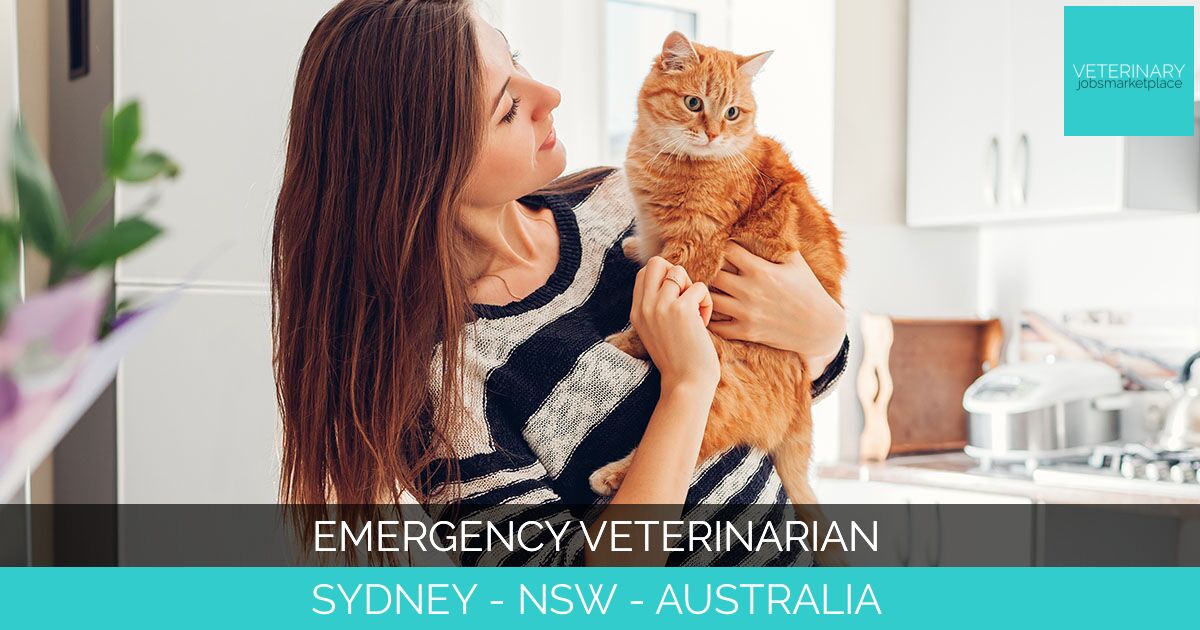 Emergency Veterinarian