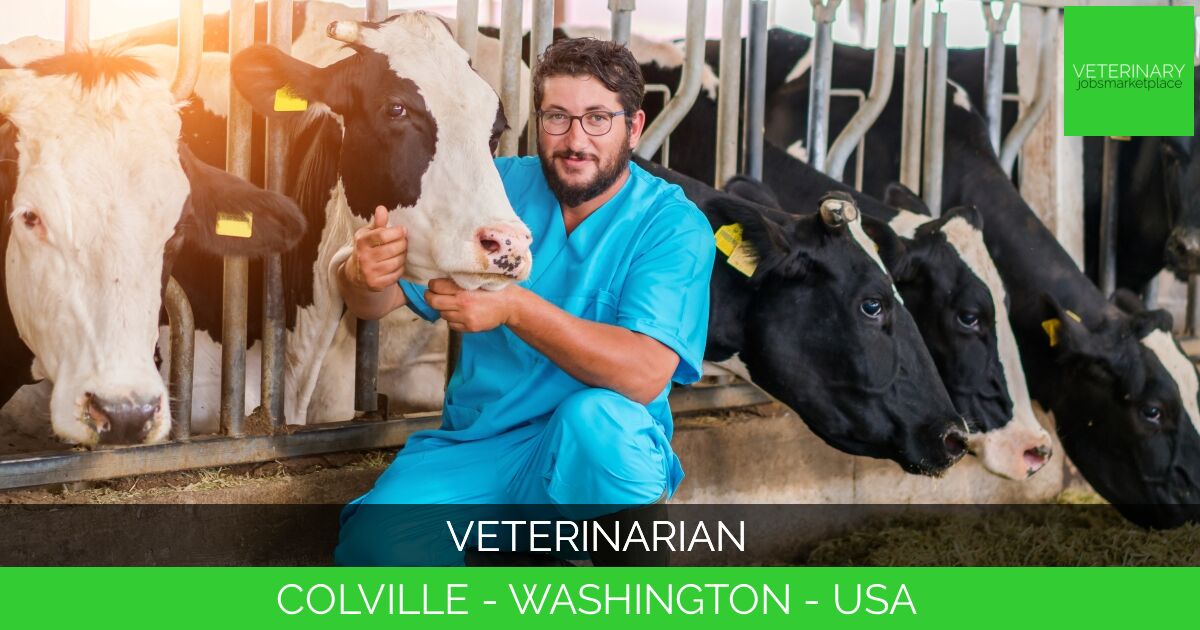 Veterinarian