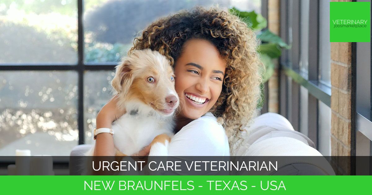 Urgent Care Veterinarian