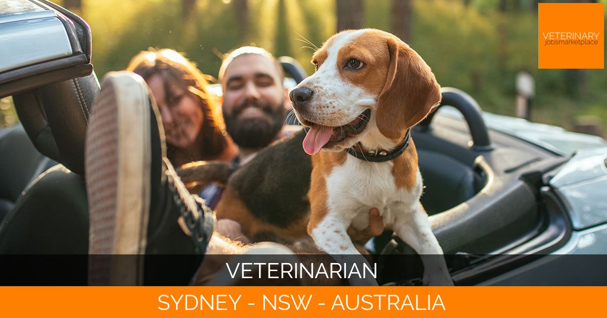 Veterinarian
