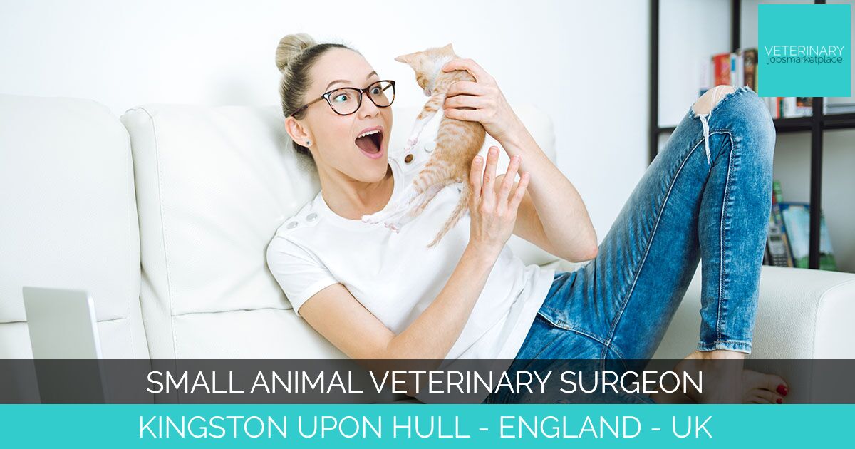 Small Animal Veterinary Surgeon