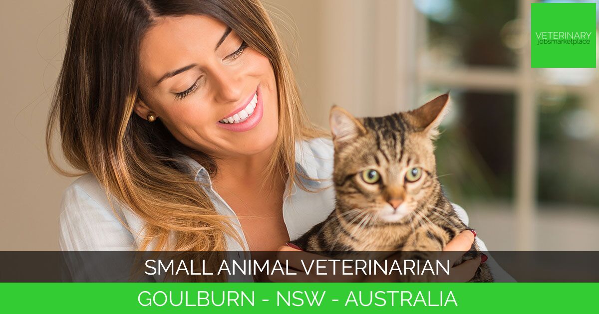Small Animal Veterinarian