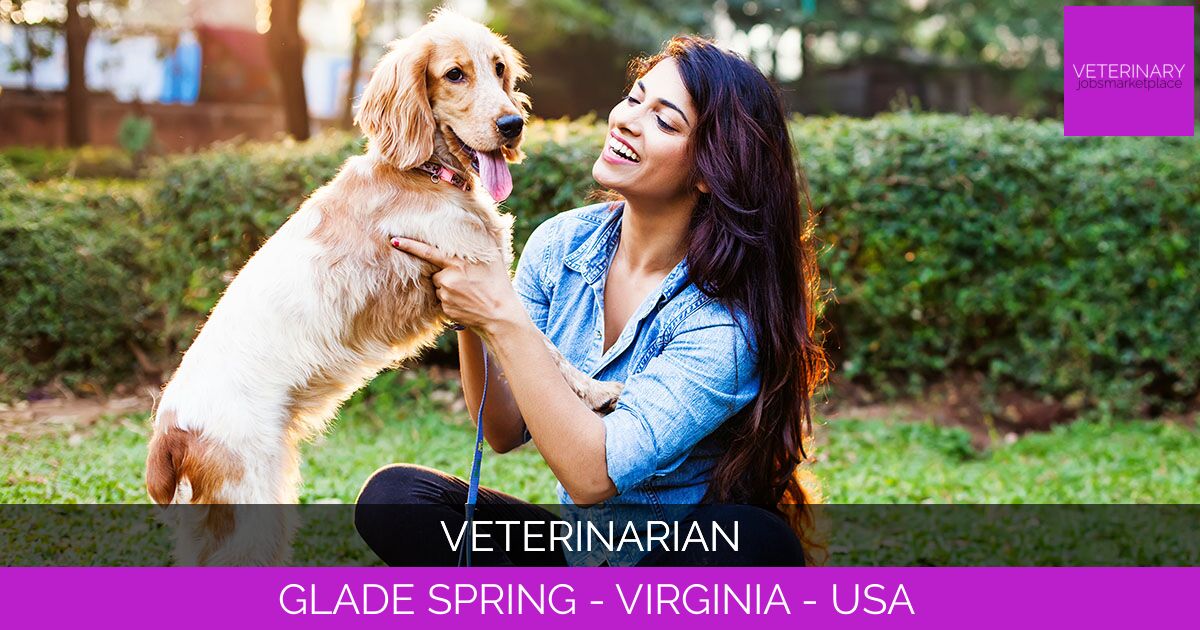 Veterinarian