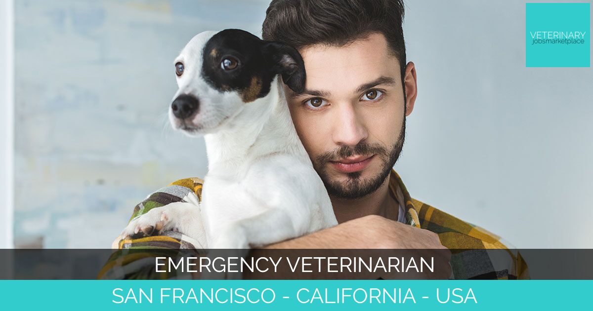 Emergency Veterinarian