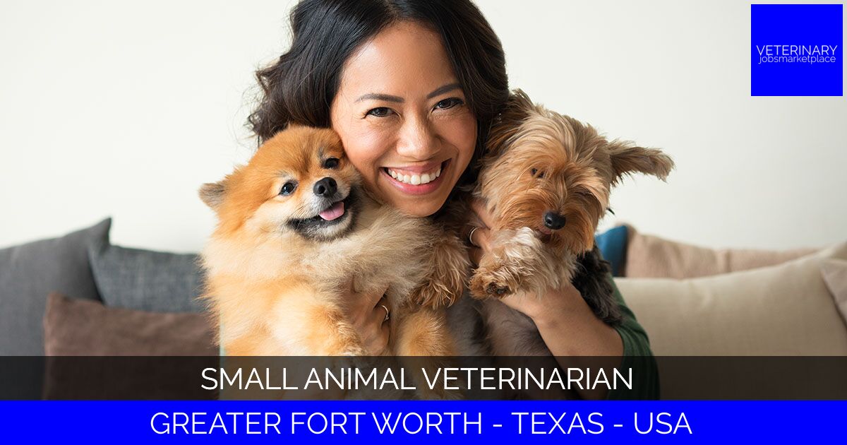 Small Animal Veterinarian