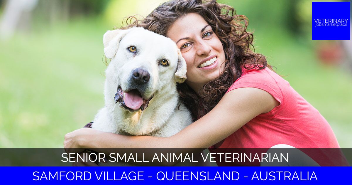 Senior Small Animal Veterinarian