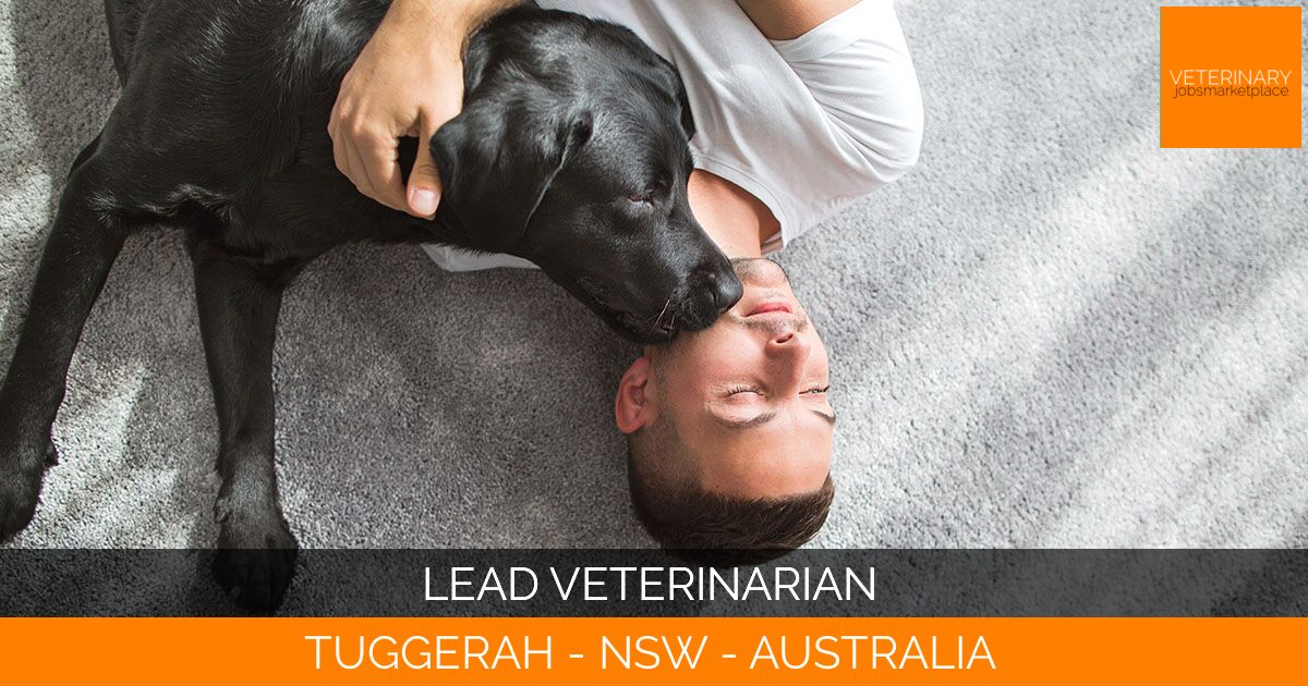 Lead Veterinarian