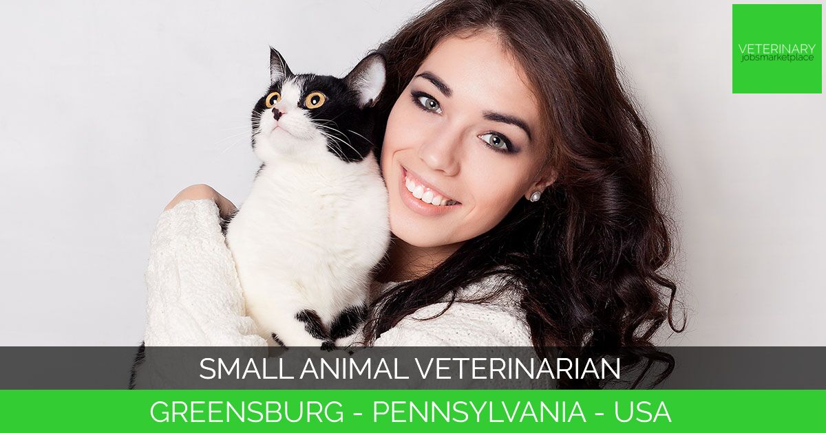 Small Animal Veterinarian