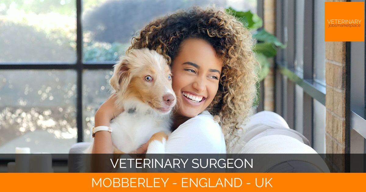 Veterinary Surgeon