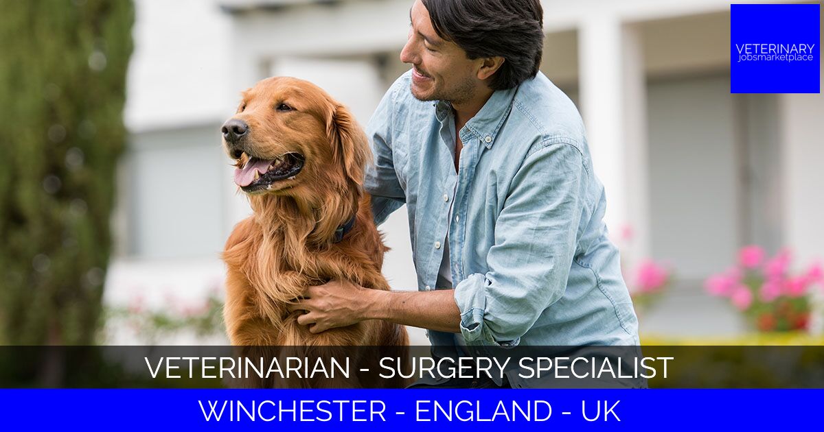 Veterinarian - Surgery Specialist