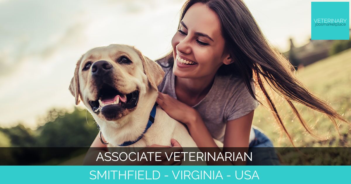 Small Animal Veterinarian