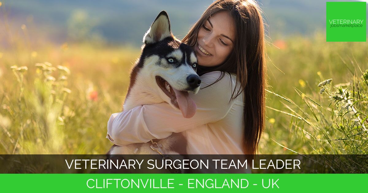 Veterinary Surgeon Team Leader