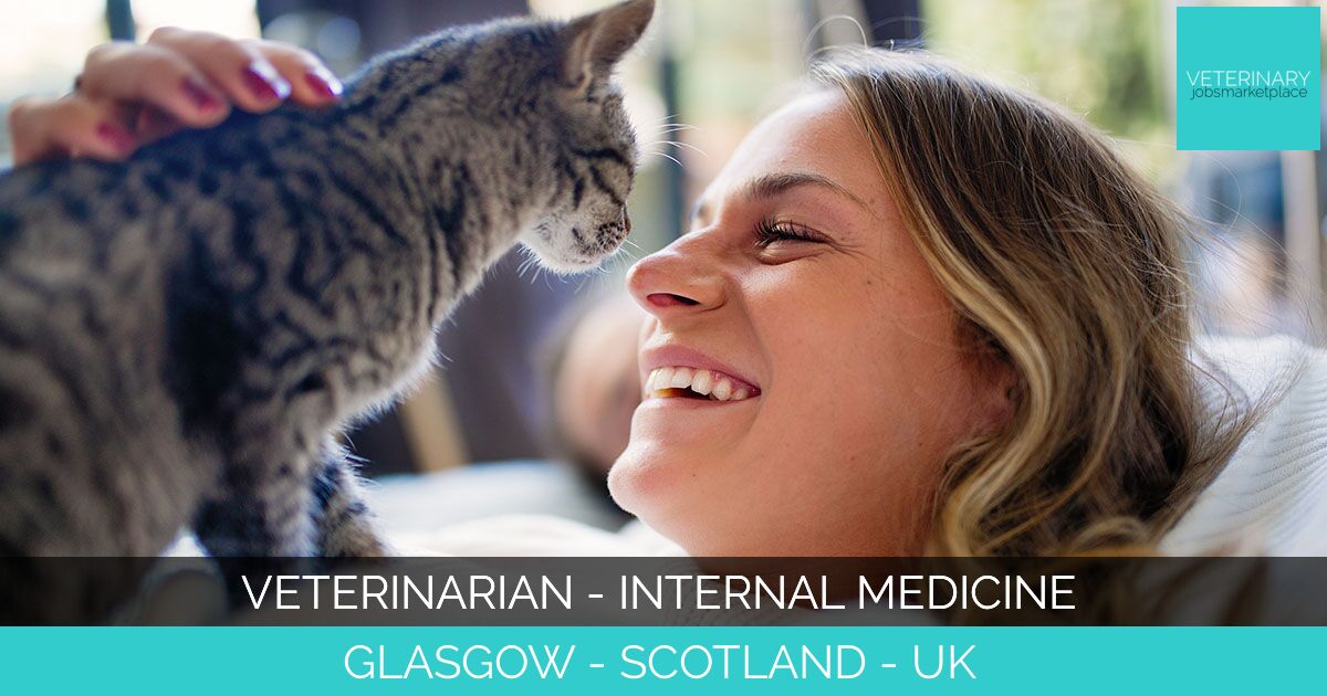 Veterinarian - Internal Medicine