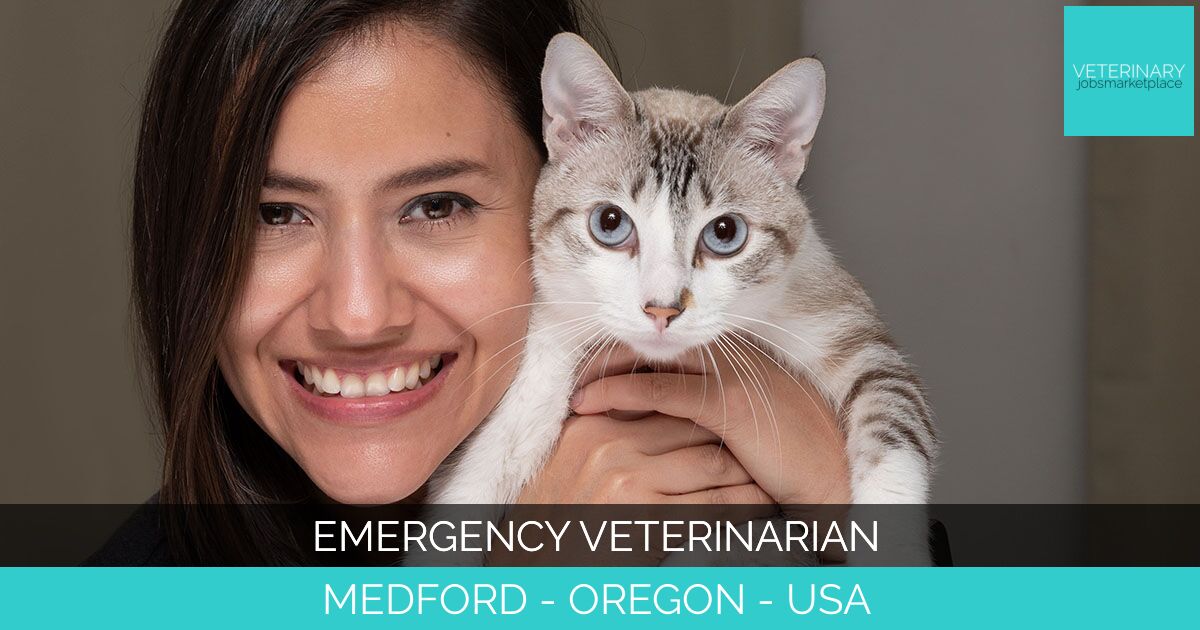 Emergency Veterinarian