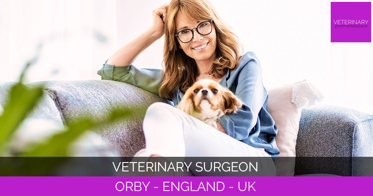 Veterinary Surgeon