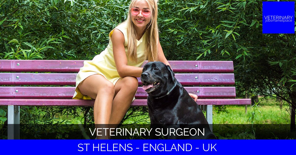 Veterinary Surgeon
