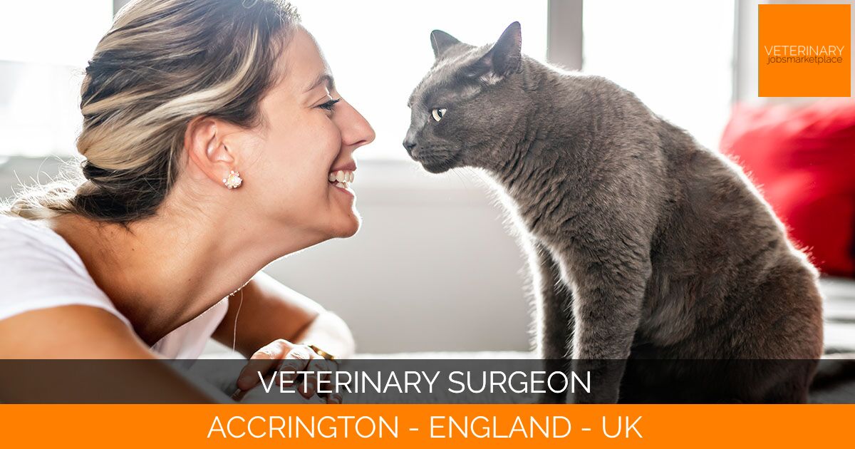 Veterinary Surgeon