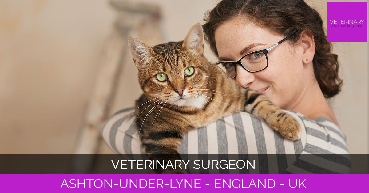 Veterinary Surgeon